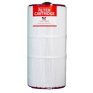 Caldera Spas 100 Filter